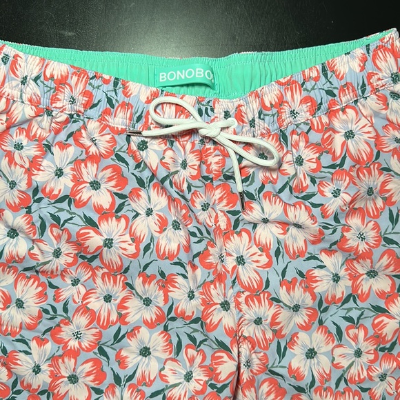 Bonobos Swim - Picture 3 of 3